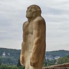 Furious Social Theory